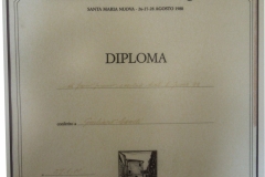 diploma-campione-mondo-giuliano-cameli